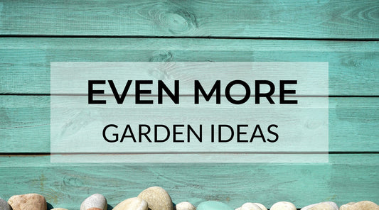 Ideas for your garden shared by MyToolkit