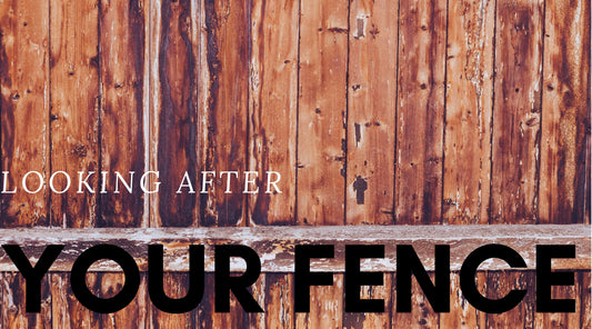 Bad News & Good News! 7 steps to Prevent your Fence from Rotting