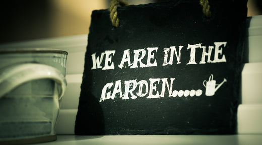 Its all about Summer...bringing the outdoors in & vice versa